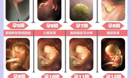 男士感冒了怀孕会影响胎儿吗-男人感冒期间要孩子的坏处网 - 男感冒要小孩有影响吗,男子感冒对备孕有没有影响
